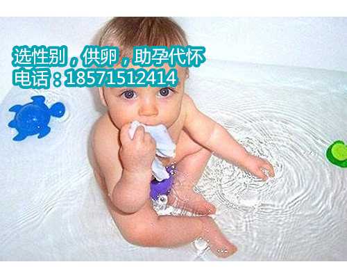 试管婴儿三级哪里有南京供卵代怀电话移植成功率高吗试管婴儿移植三级胚胎成功率