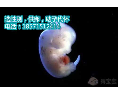 南京赠卵代怀生流程8个月喝哪个牌子的奶粉好呢?