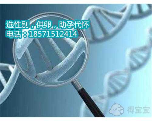 深圳哪家医院做试管南京2023个人供卵代怀的成功率最高，深圳2家成功率较高的口碑
