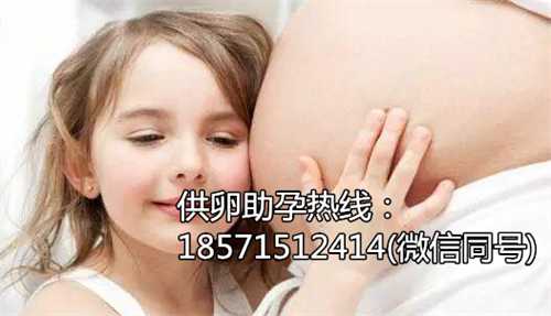 南京有没有供卵代怀中介能打狂犬疫苗吗，备孕能打狂犬疫苗吗