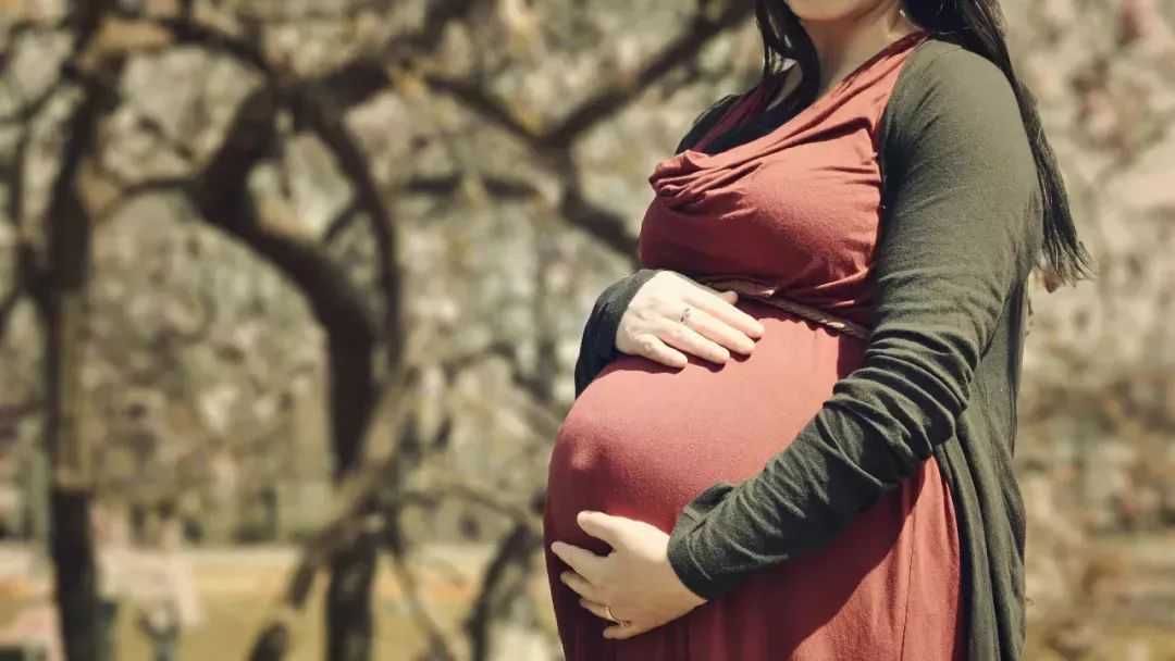 孕妇前三个月有哪些注意事项？南京代怀产子价格介绍前三个月的饮食禁忌