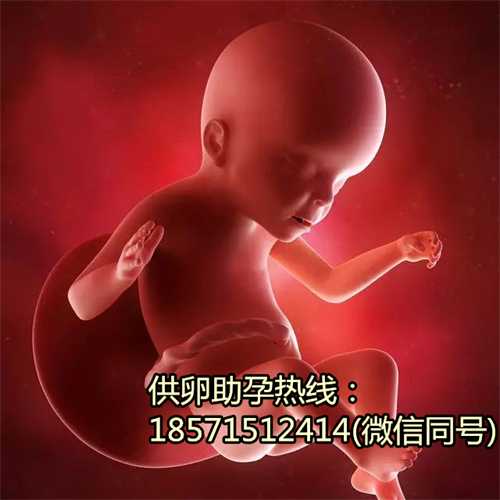 南京哪里找人代生孩子期间不可以同房吗?备孕期同房过于频繁有什么坏处