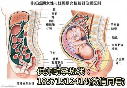 2023常州妇幼保健院试管南京试管代生要打多少针日记，看完便知助孕成功率怎